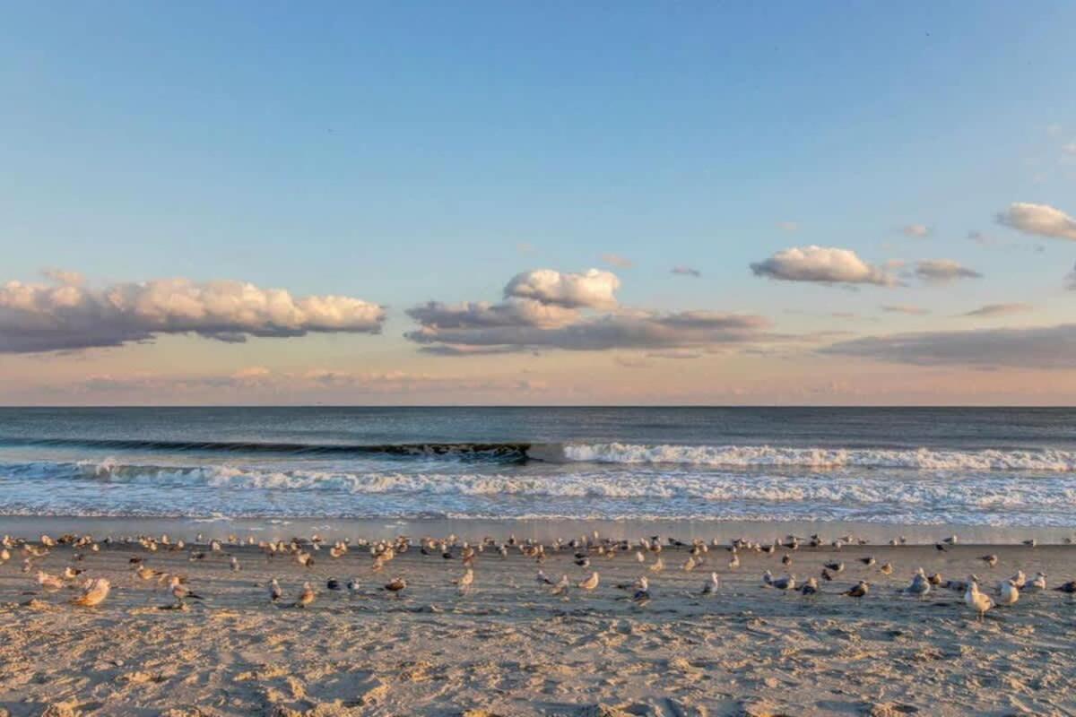 *Oceanfront Sun & Fun*Queen Beds*Pools*Hot Tubs*More*B118 Myrtle Beach Exterior foto